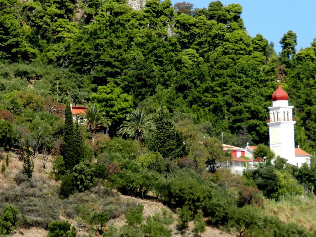 Port View Apartment Ζάκυνθος Πόλη Εξωτερικό φωτογραφία